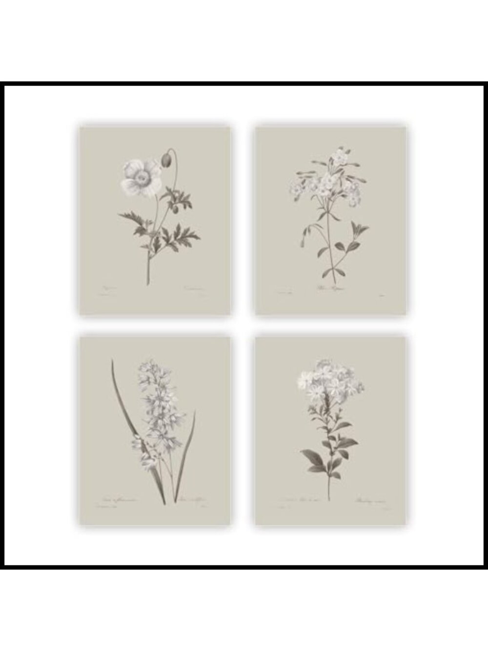 Vintage Botanical Wall Art Prints Set of 4 Unframed 8x10 Rustic Farmhouse